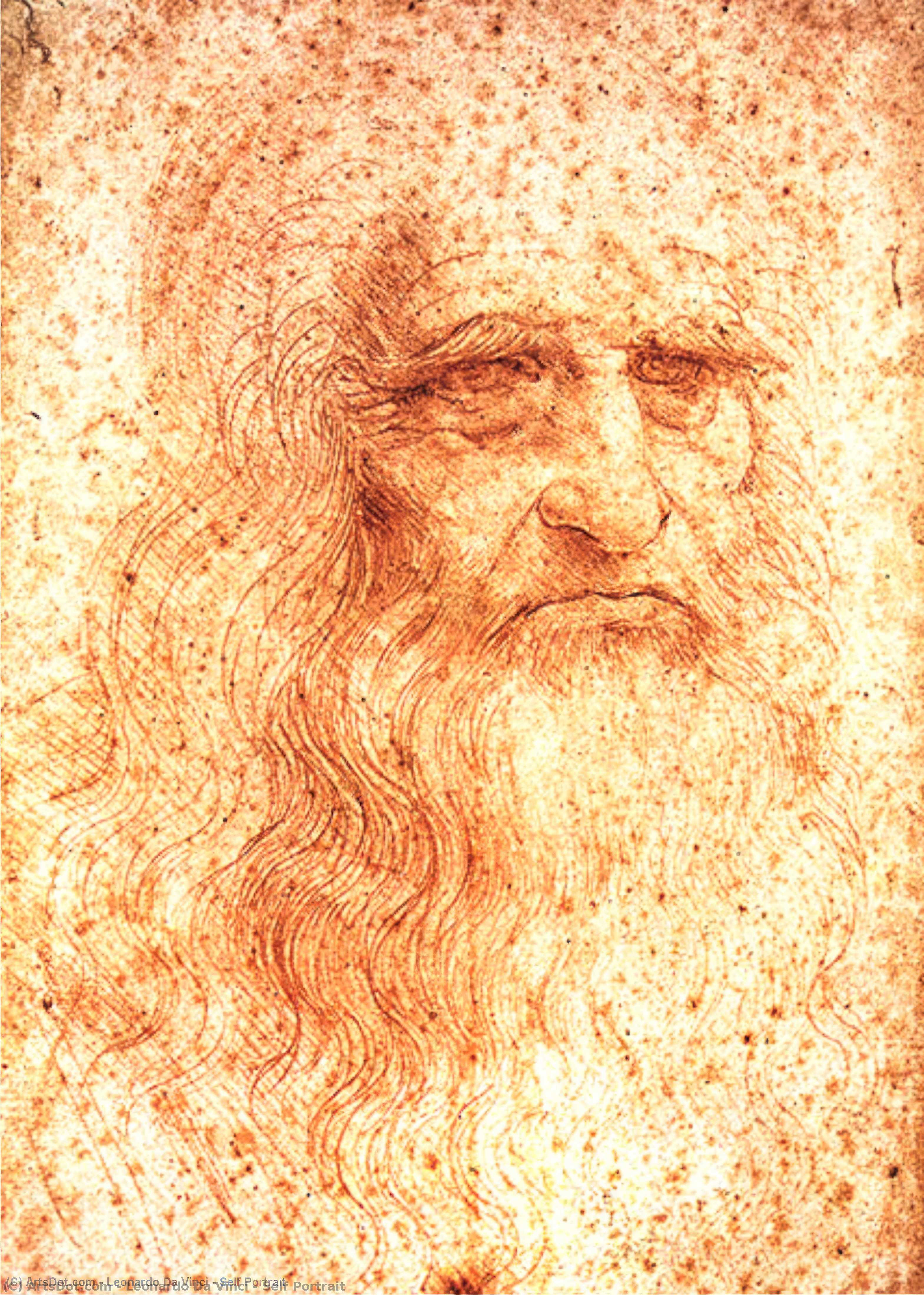 Selbstporträt — Leonardo Da Vinci