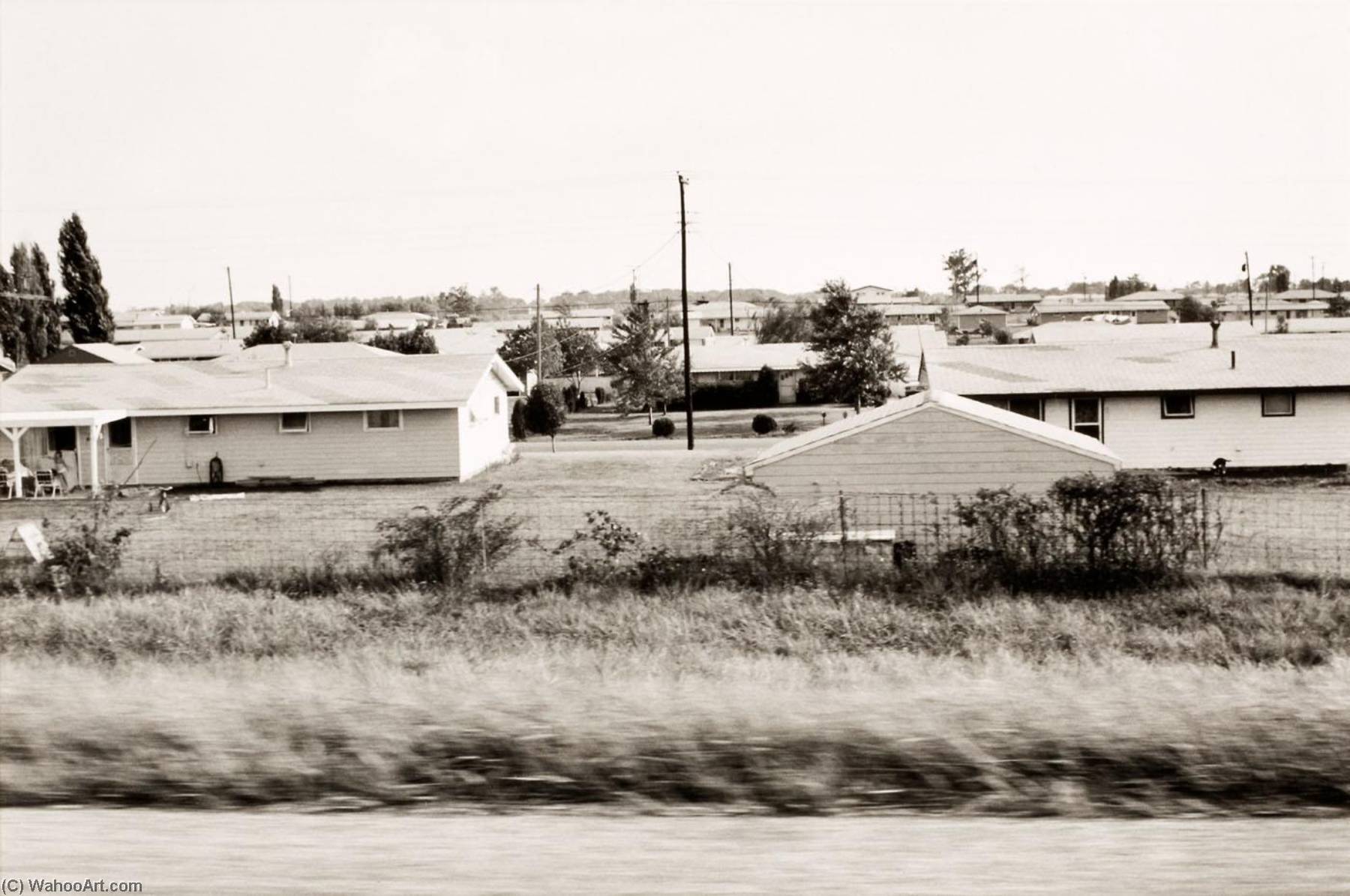 Autolandscape, Illinois — Elaine Mayes