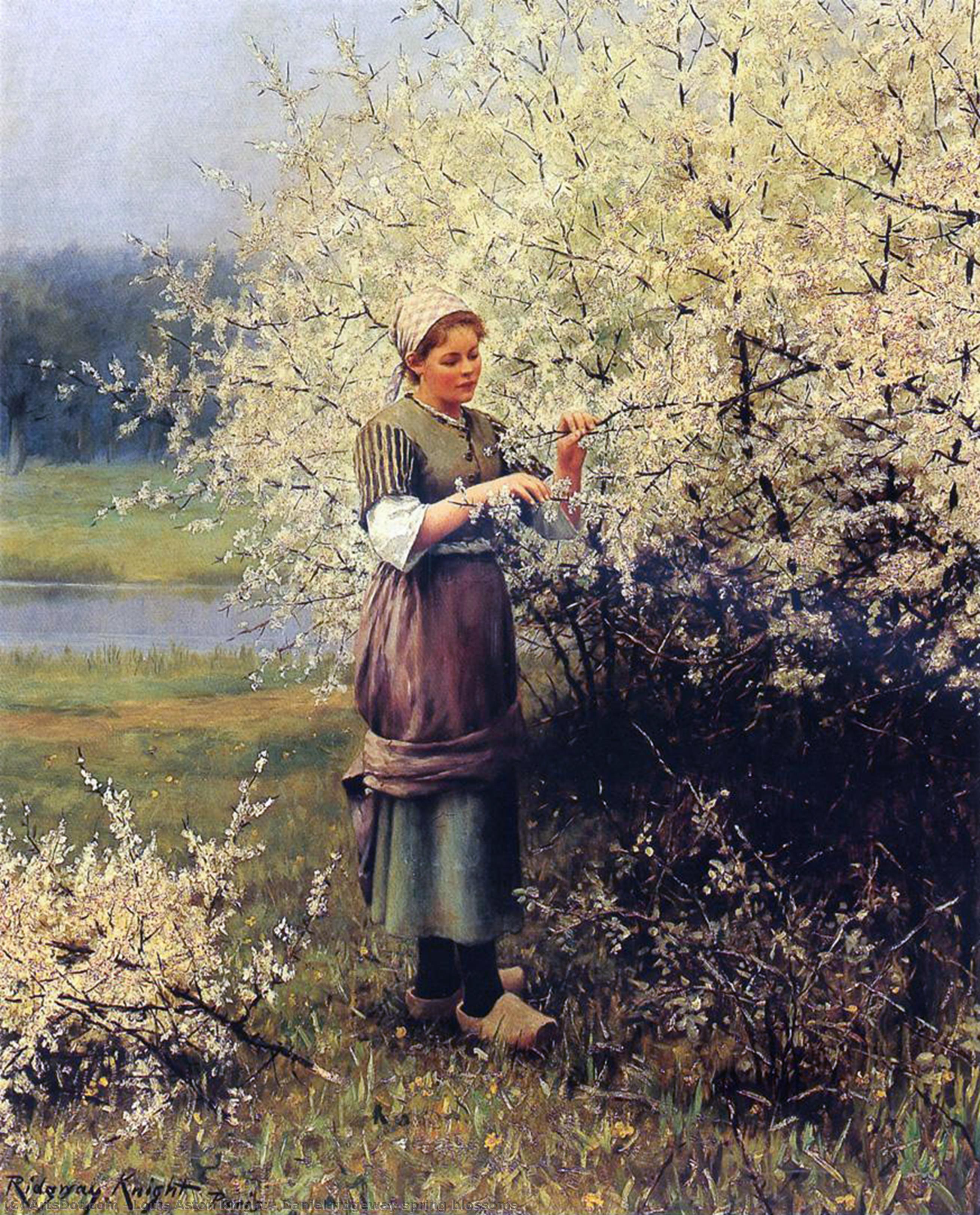 Daniel Ridgeway Spring Blossoms — Luis Aston Knight