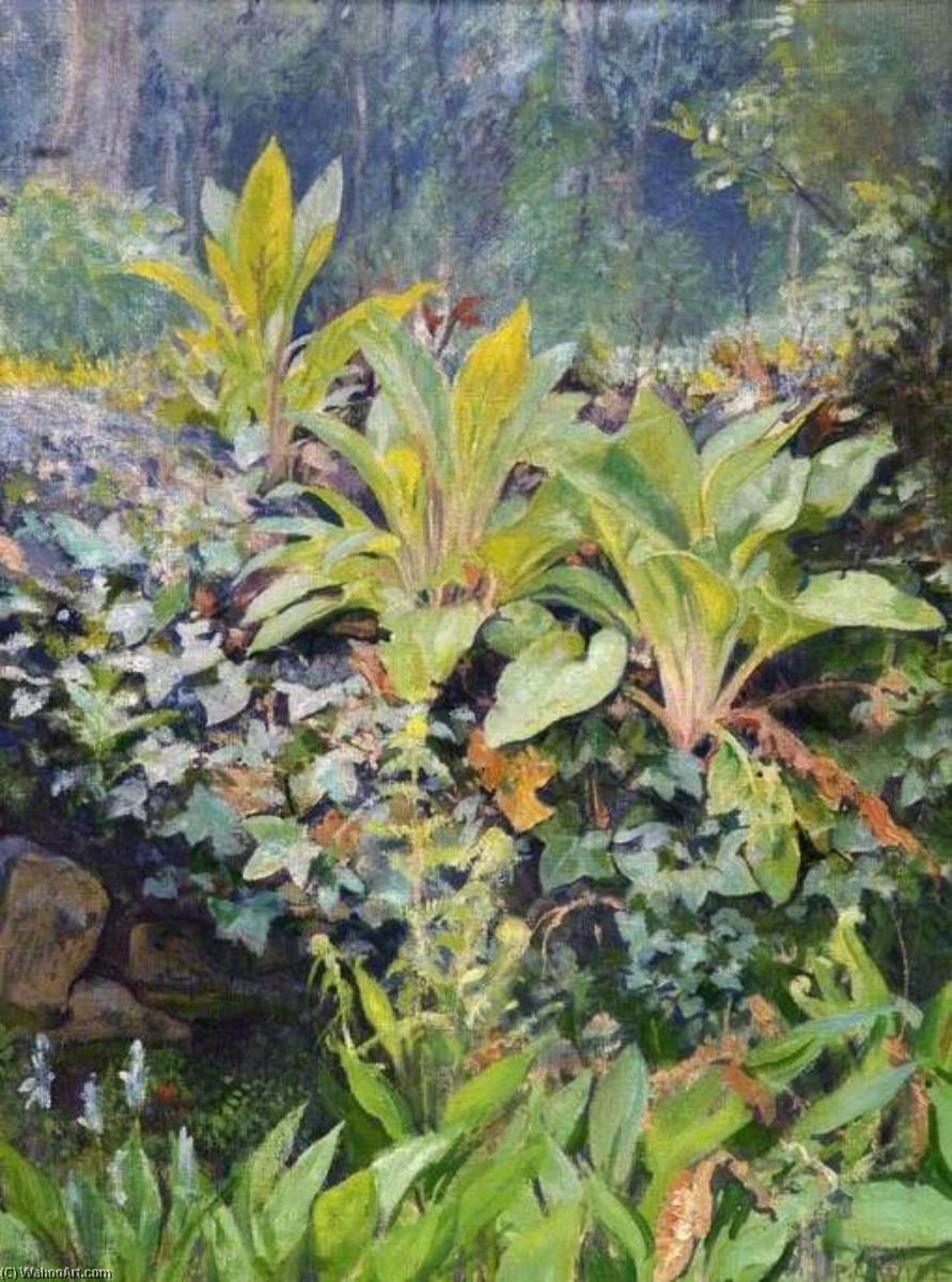 Young Foxgloves — Percival Arthur Wise