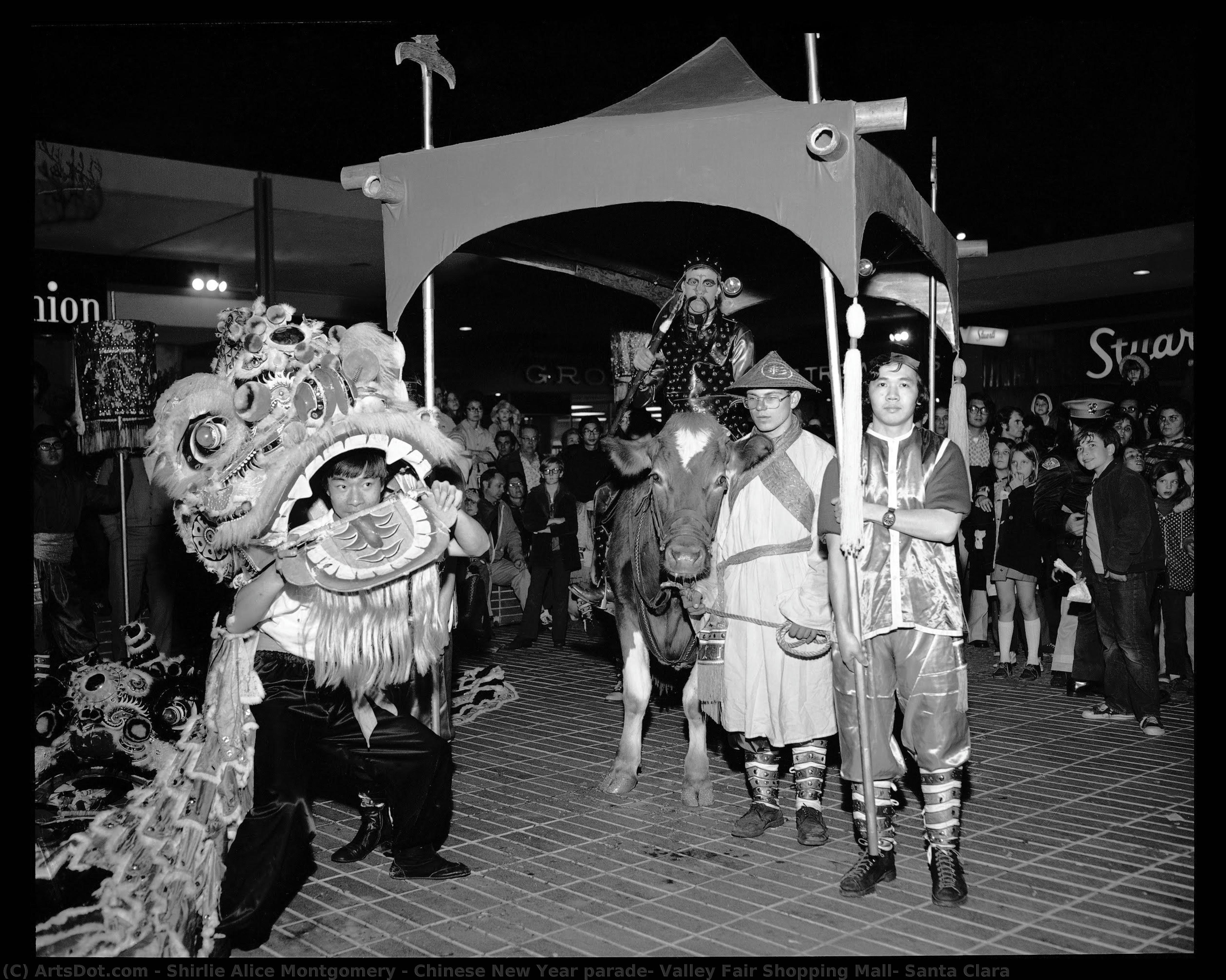 Chinese New Year Parade, Valley Fair Shopping Mall, Santa Clara — Shirlie Alice Montgomery