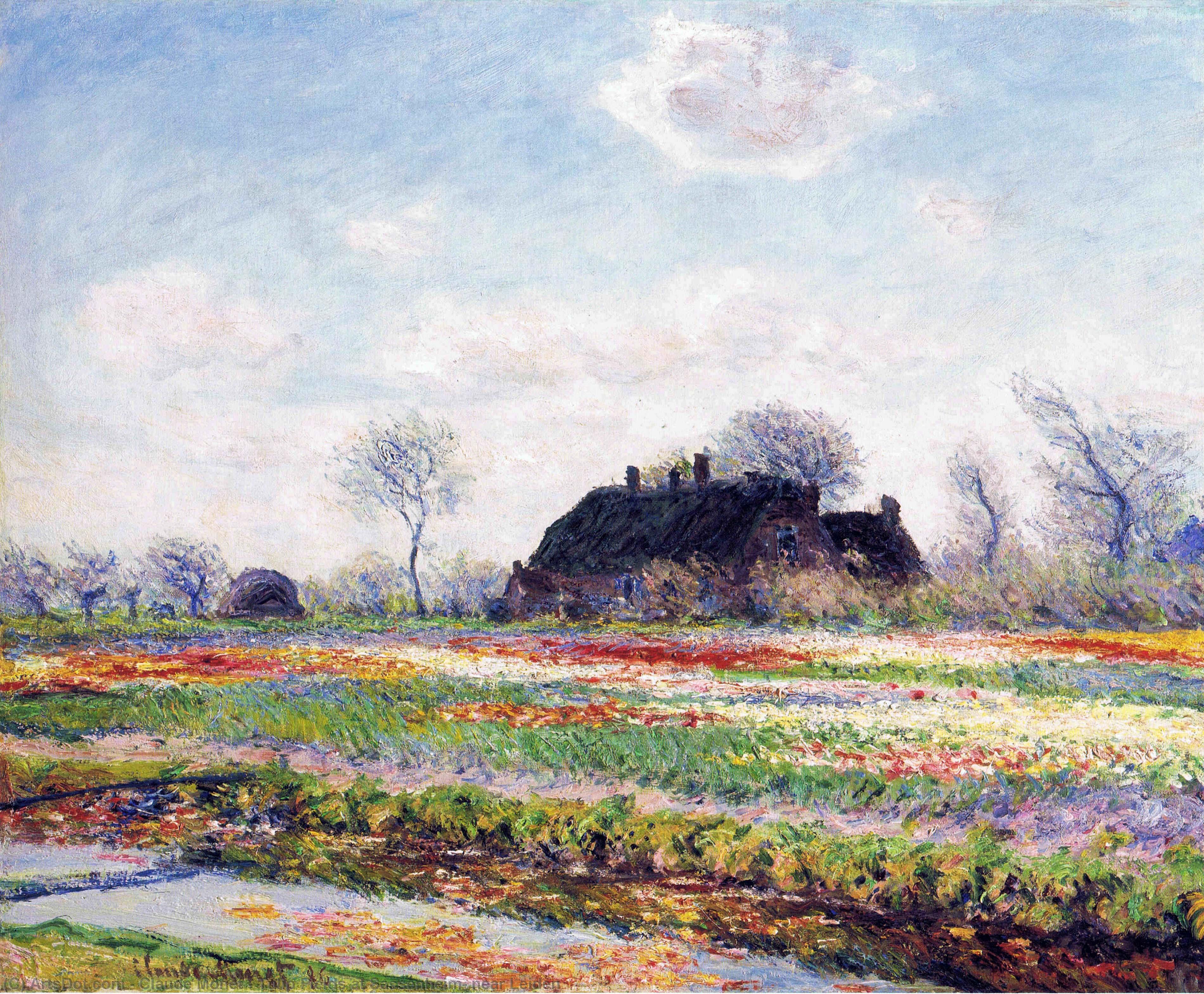 Tulip Fields At Sassenheim, Near Leiden — Claude Monet