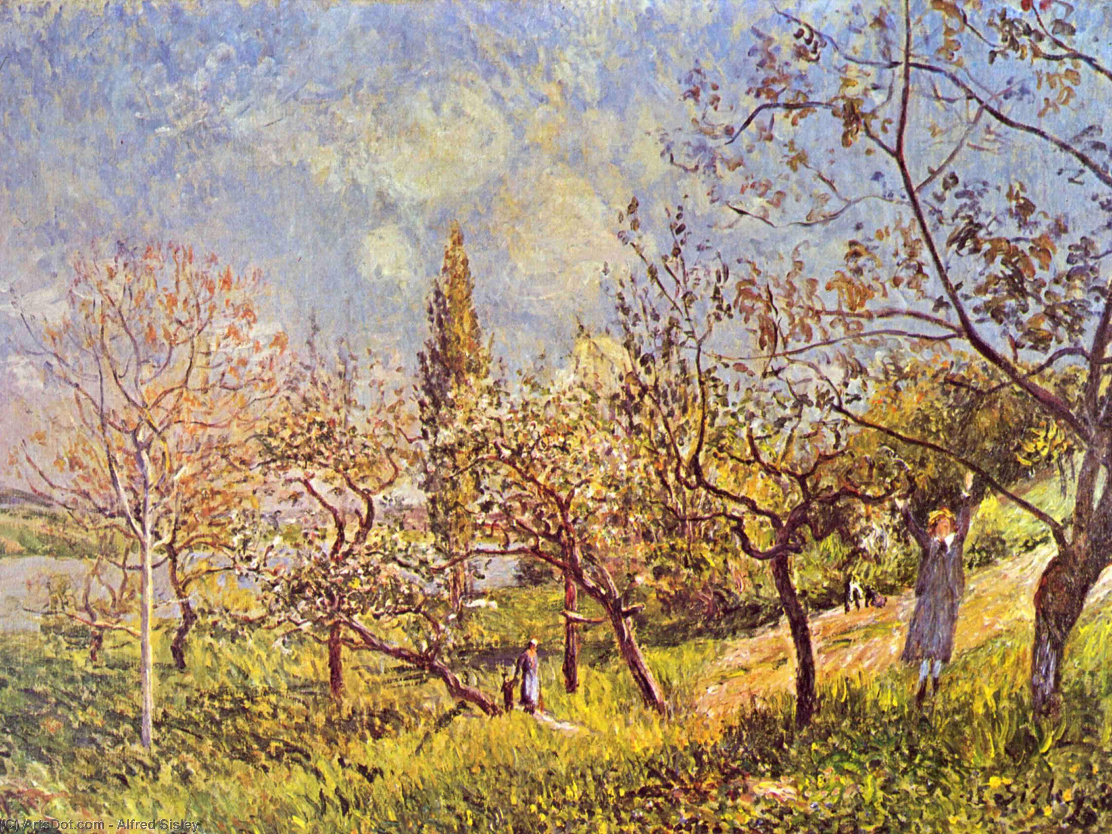Orchard In Spring — Alfrēd Sislē