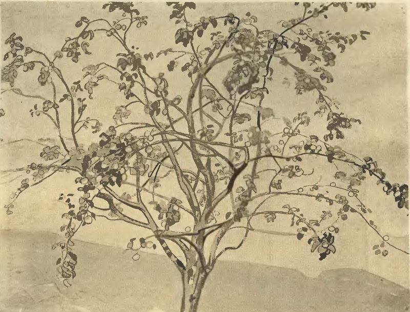 Apple Tree — Nikola Roerić
