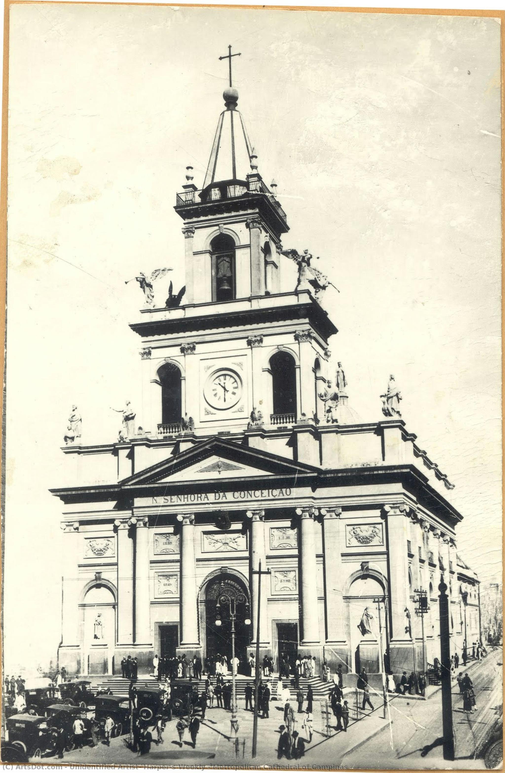 Metropolitan Cathedral Of Campinas — Unidentified Artist, Harper's Weekly
