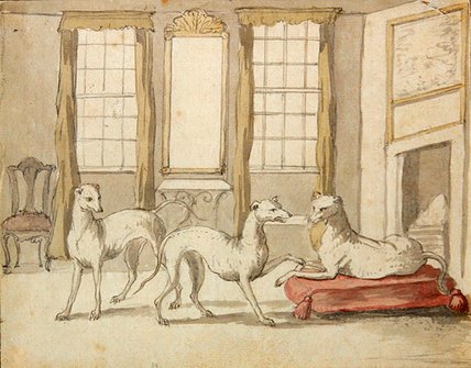 Three Greyhounds In A Room — Pieter Casteels