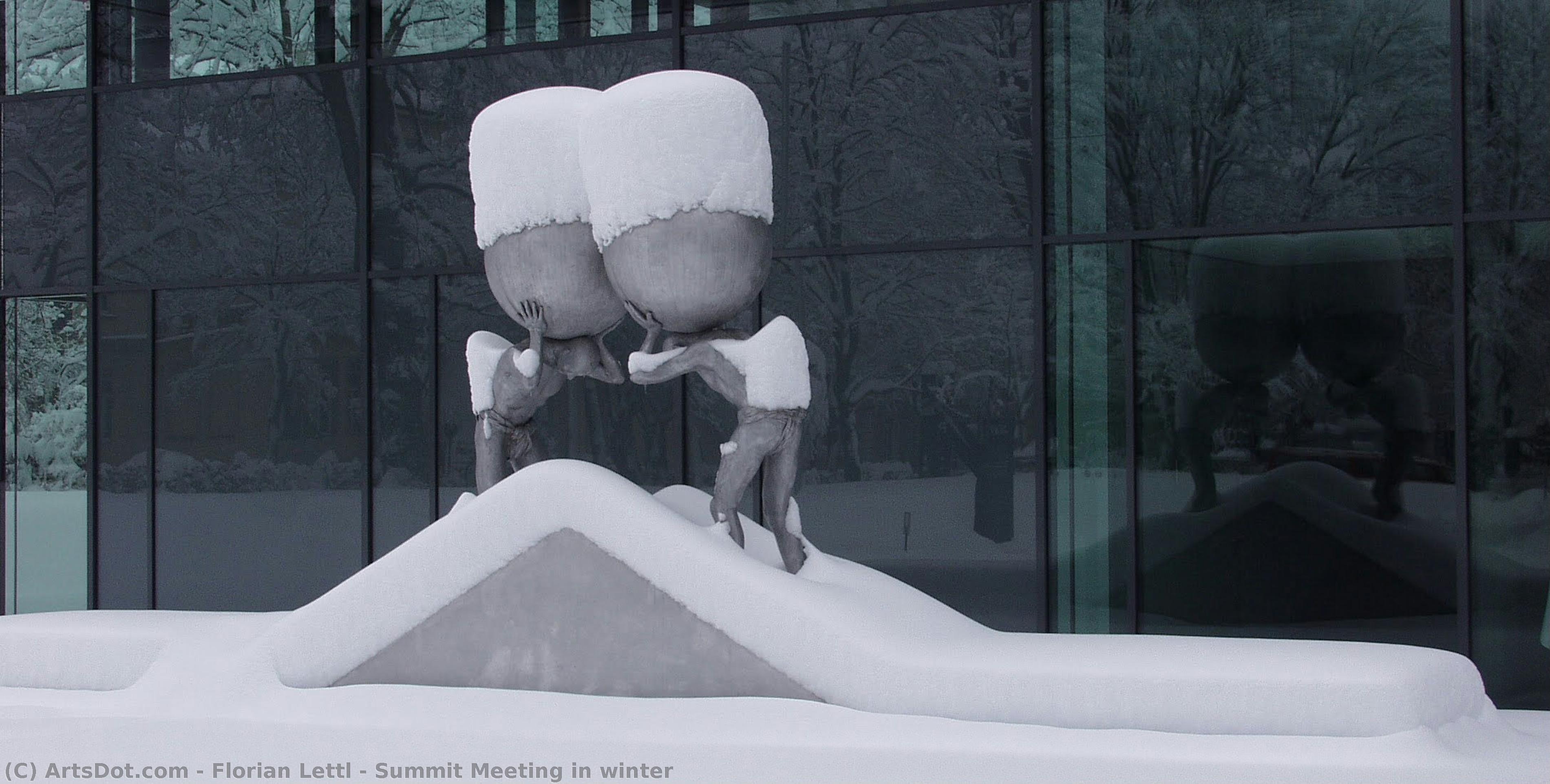 Summit Meeting In Winter — Florian Lettl
