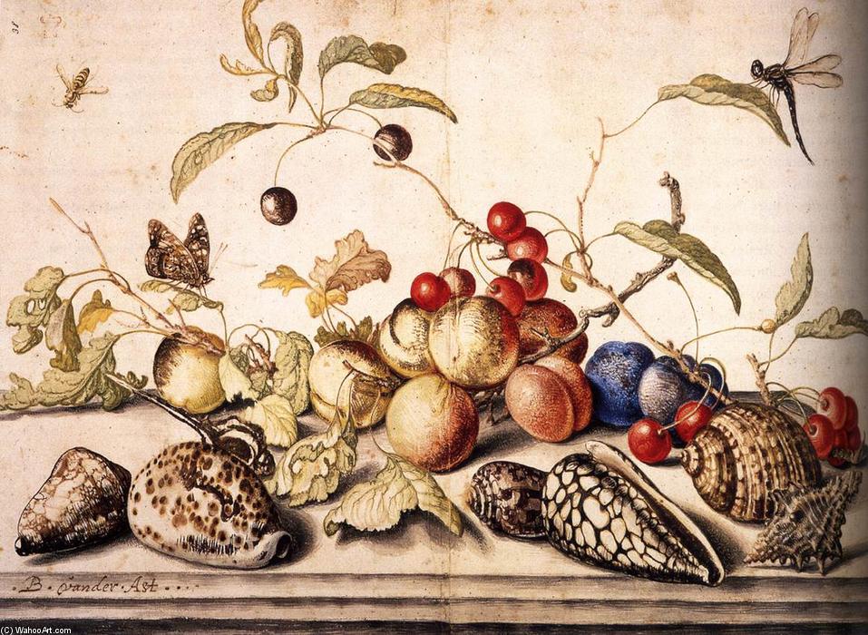 Still-life With Plums, Cherries, And Shells — Balthasar Van Der Ast