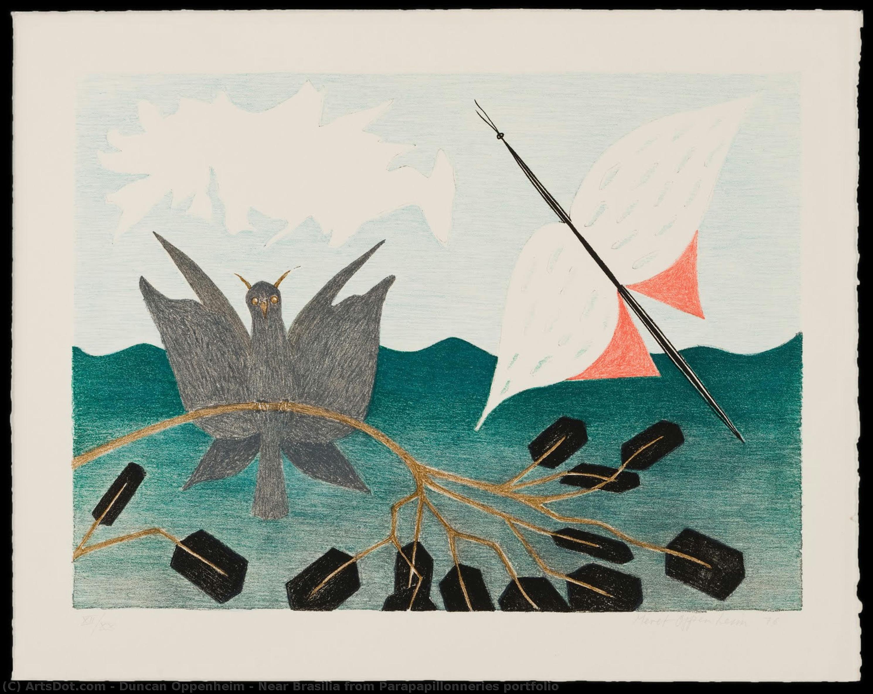 Near Brasilia From Parapapillonneries Portfolio — Duncan Oppenheim