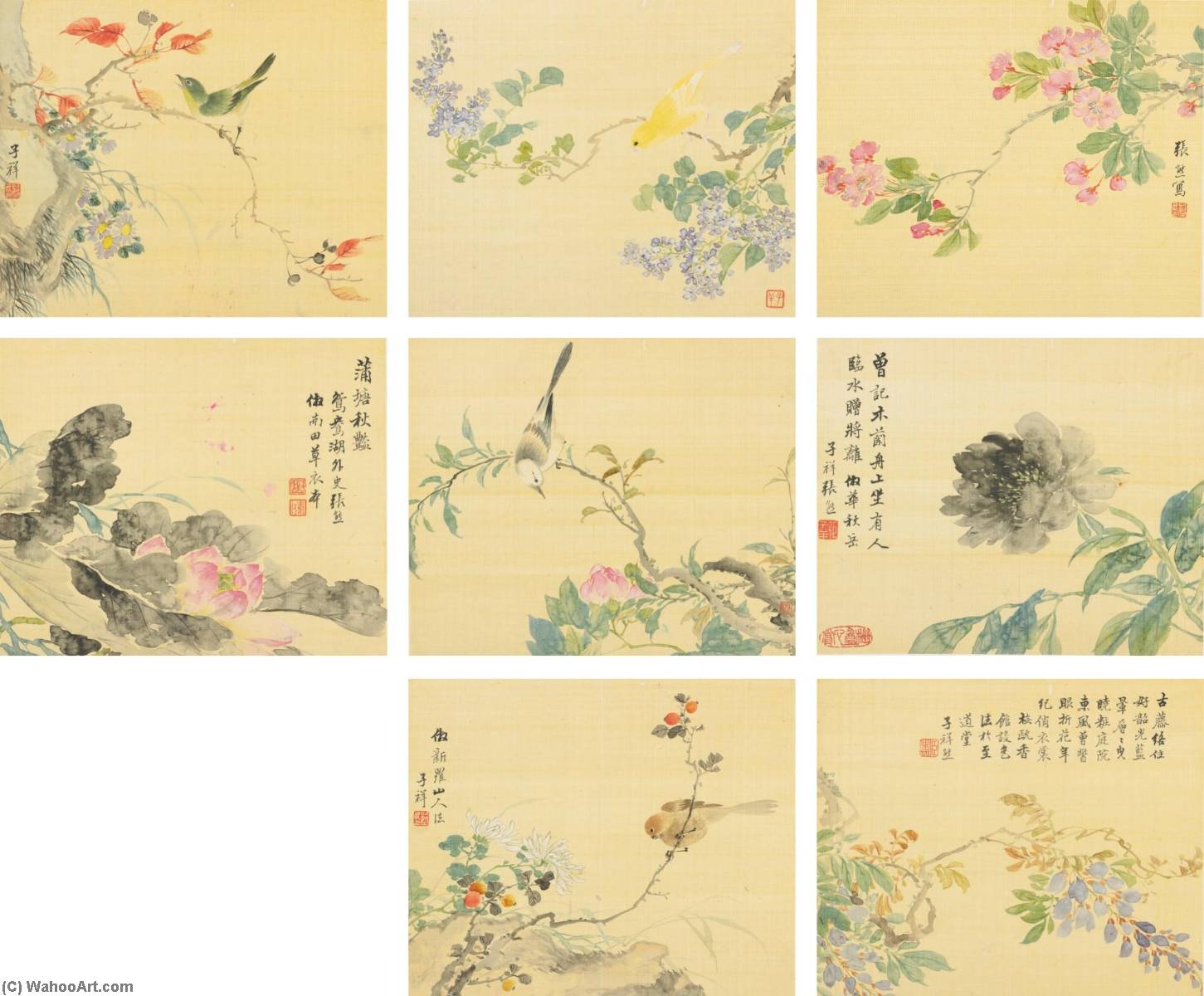 Flowers And Birds — Zhang Xiong