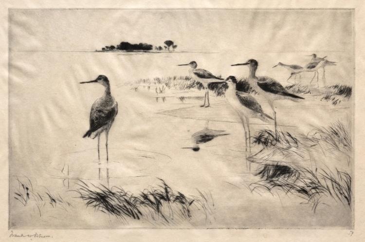 Winter Yellowlegs — Frank Weston Benson