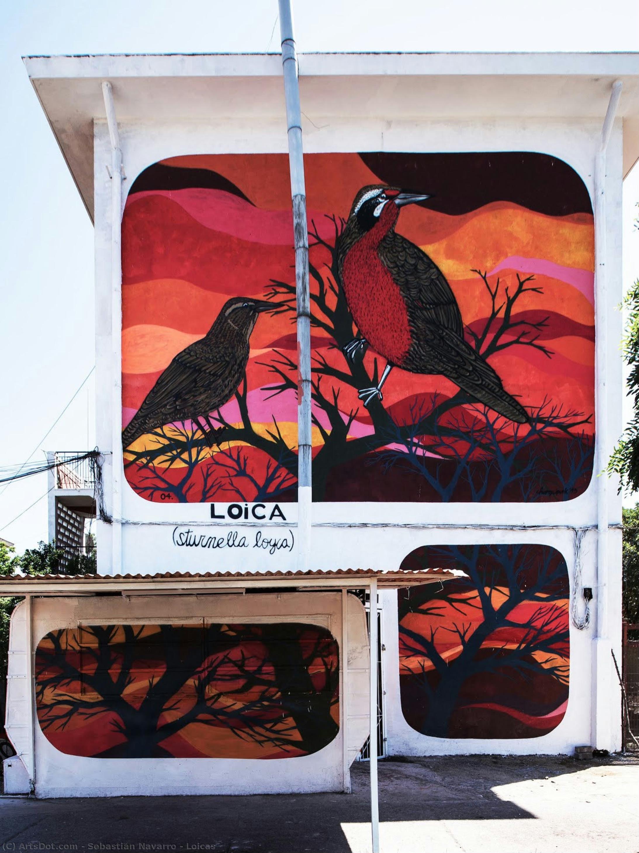 Loicas — Sebastián Navarro