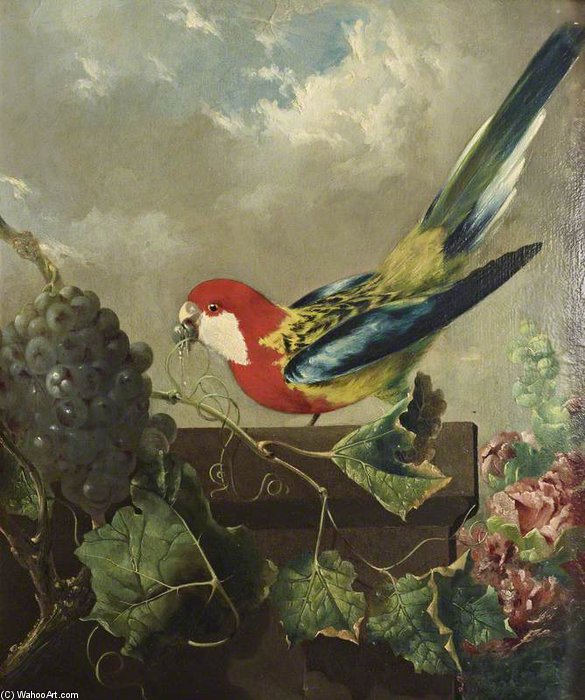 Parakeet With Grapes And Hollyhocks — George Philip Reinagle