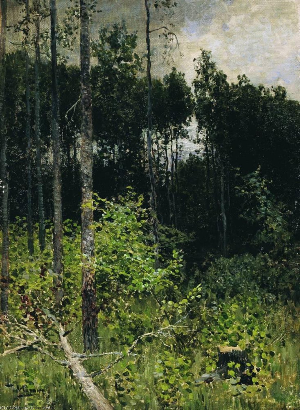Aspen Spinny. A Gray Day. — Исаак Ильич Левитан