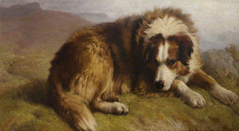 'silky' (waiting For Orders) — Henry Hetherington Emmerson