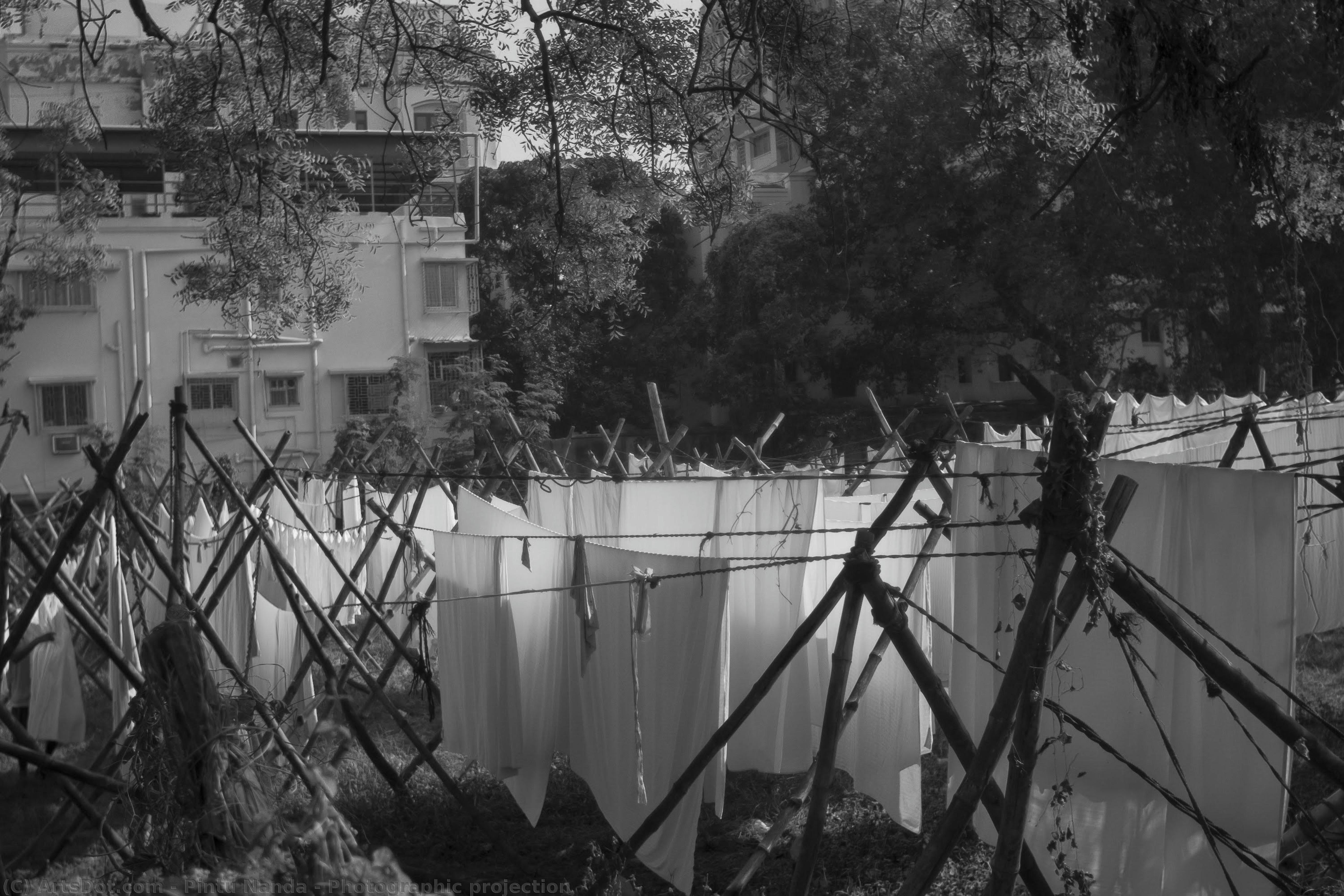 Photographic Projection — Pintu Nanda