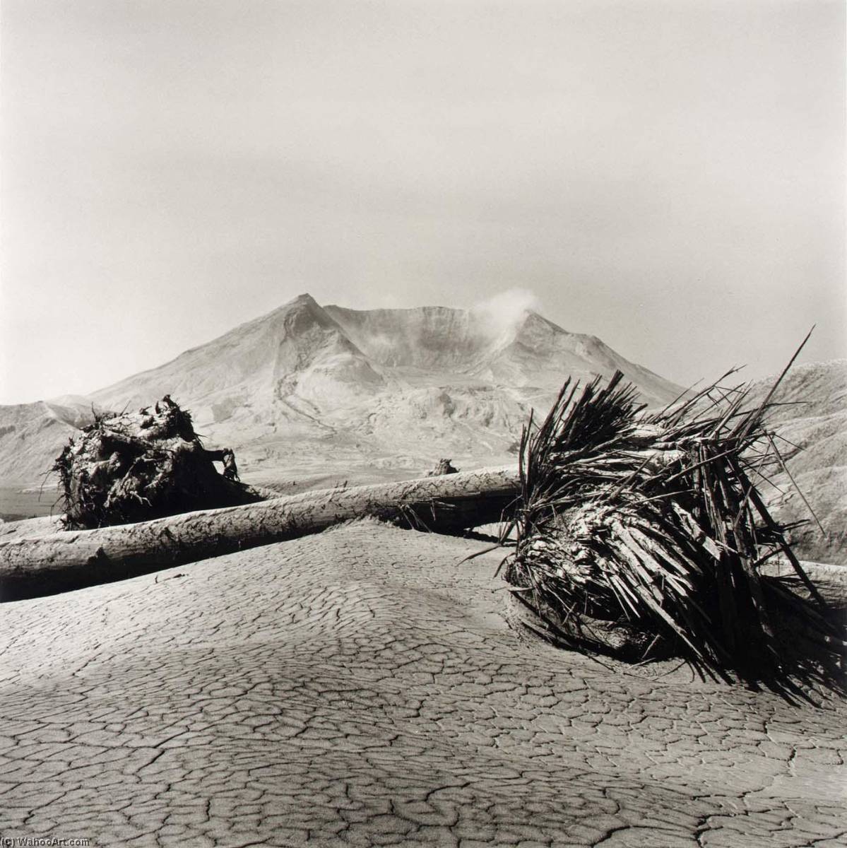Mount St. Helens, Washington — Emmet Gowin