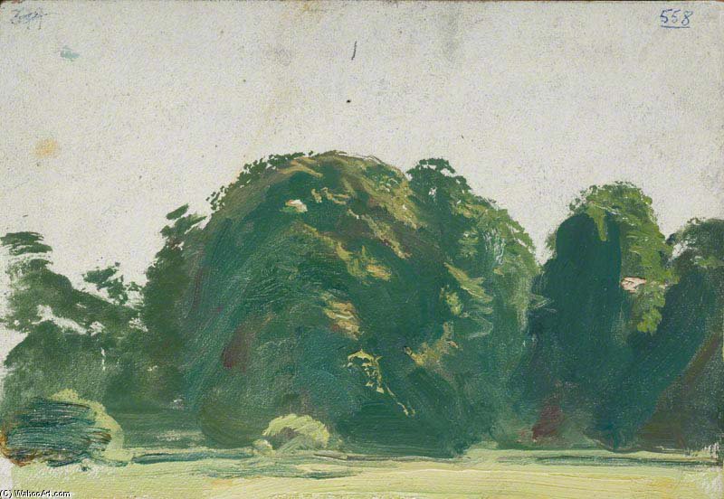 Study Of Trees - — Маннингс