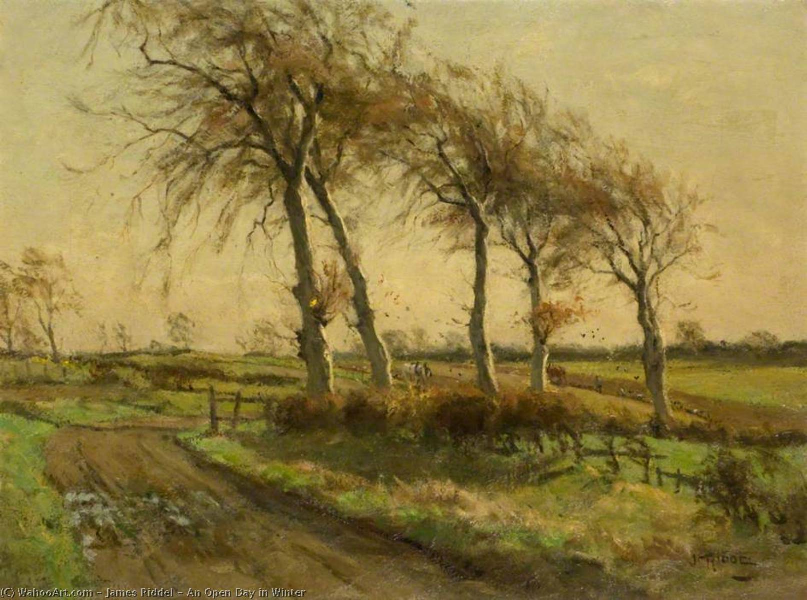An Open Day In Winter — James Riddel