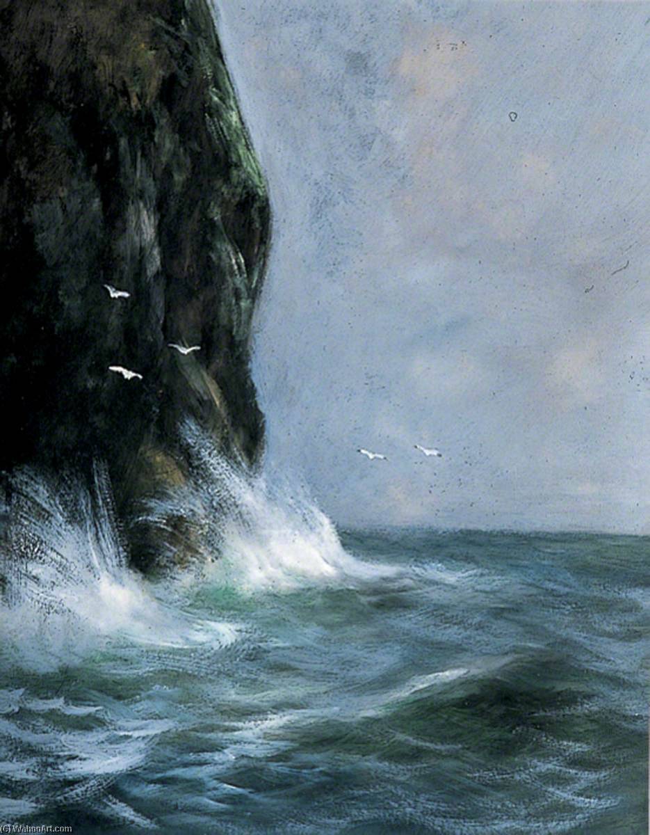 Cliff And Birds — Daniel Sherrin