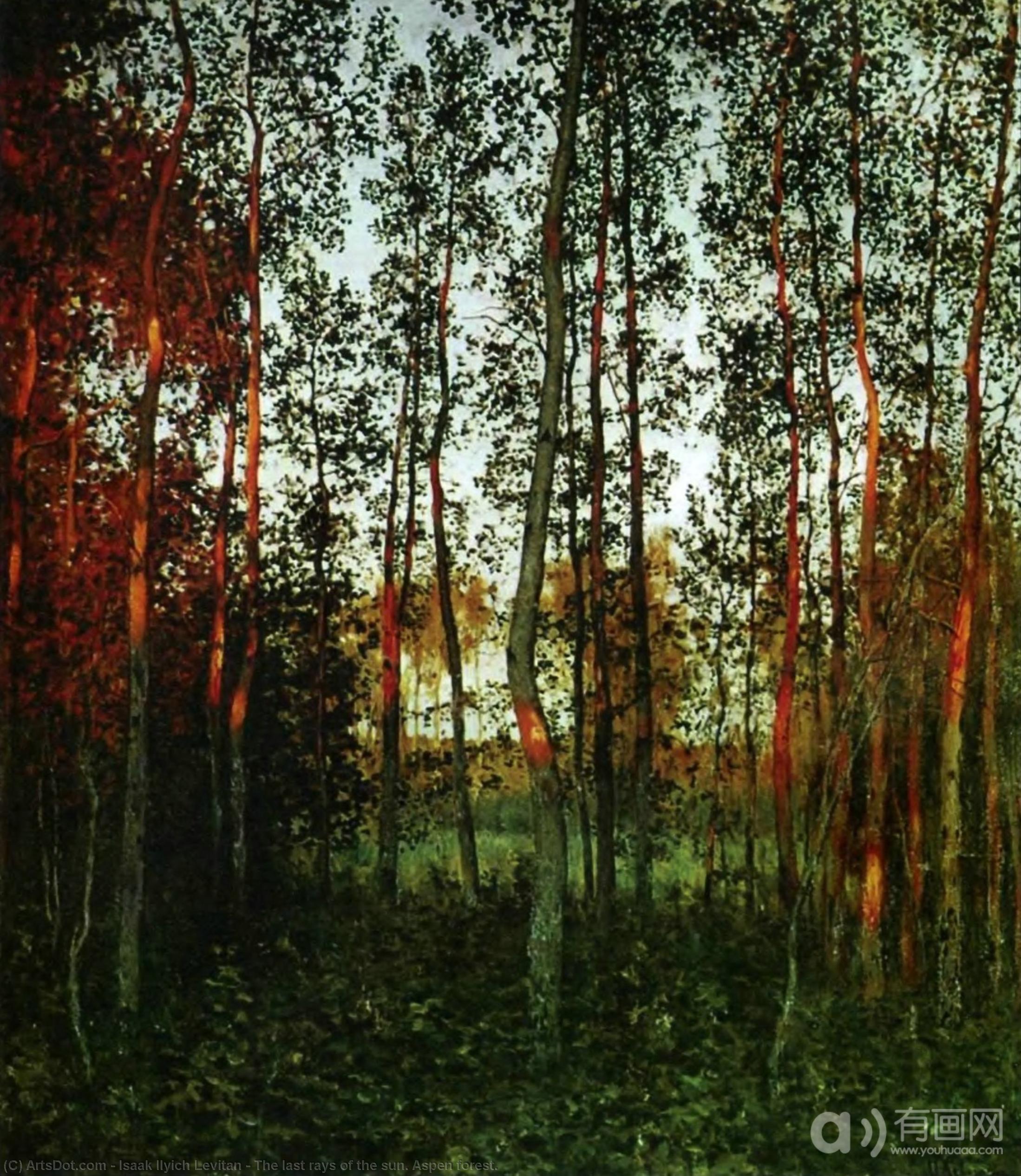 The Last Rays Of The Sun. Aspen Forest. — イサク・イリイチ・レヴィタン