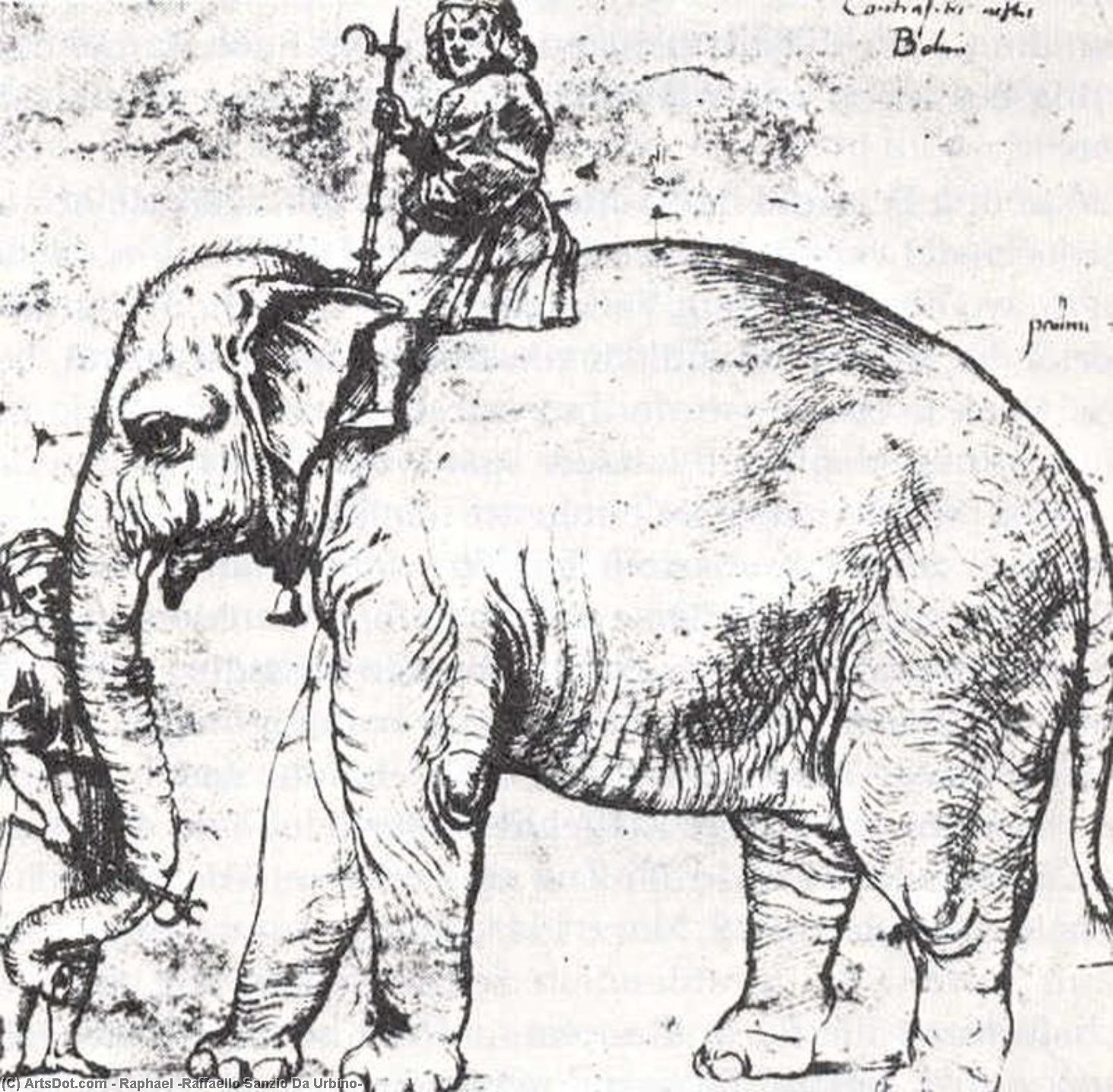 Hanno, The Pope’s Leo X Elephant — Рафаэль