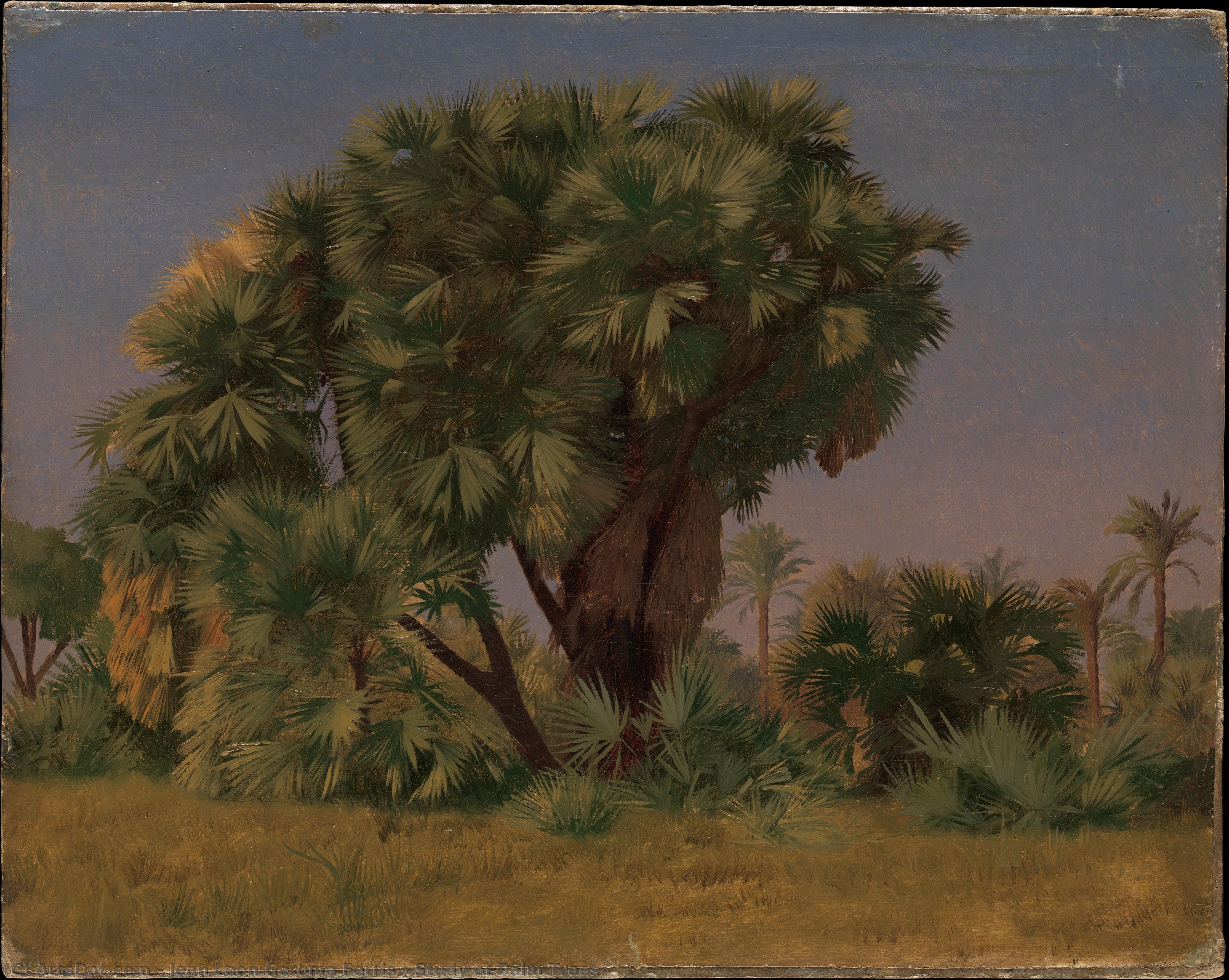 Study Of Palm Trees — Jean Leon Gerome Ferris