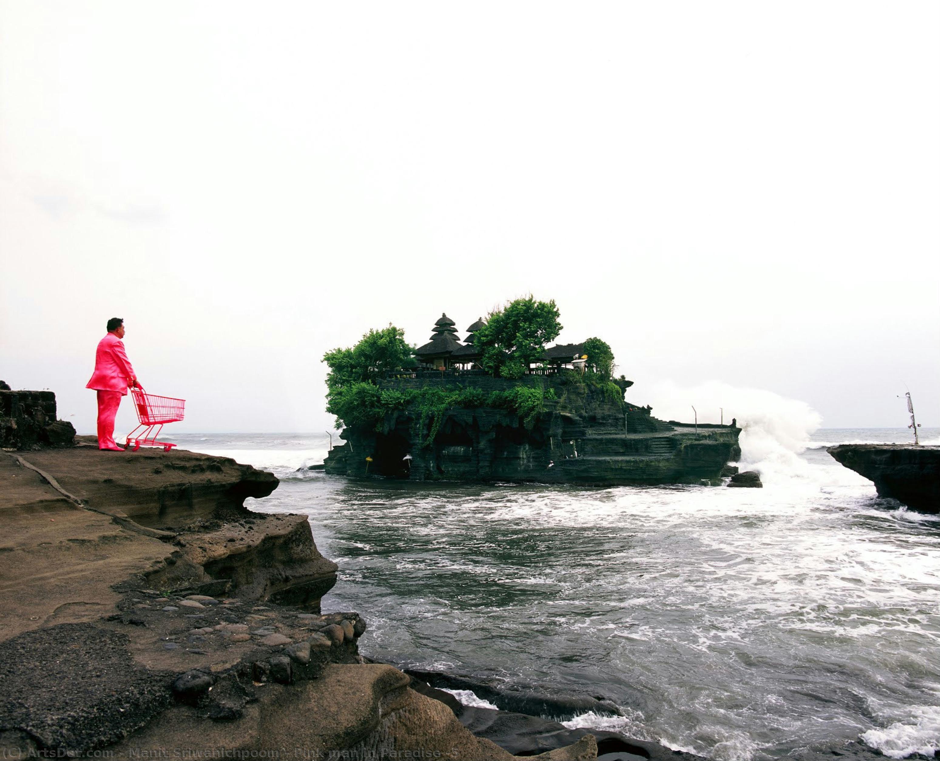 Pink Man In Paradise #5 — Manit Sriwanichpoom