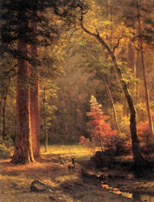 Dogwood — Albert Bierstadt