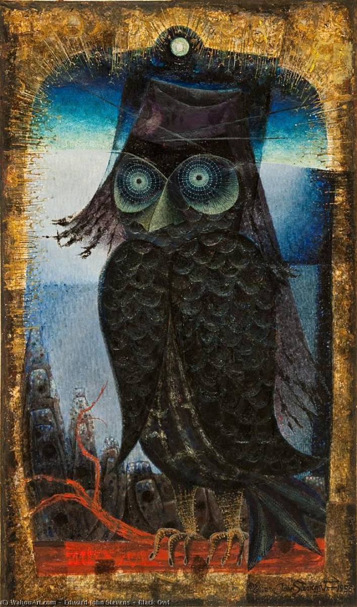 Black Owl — Edward John Stevens