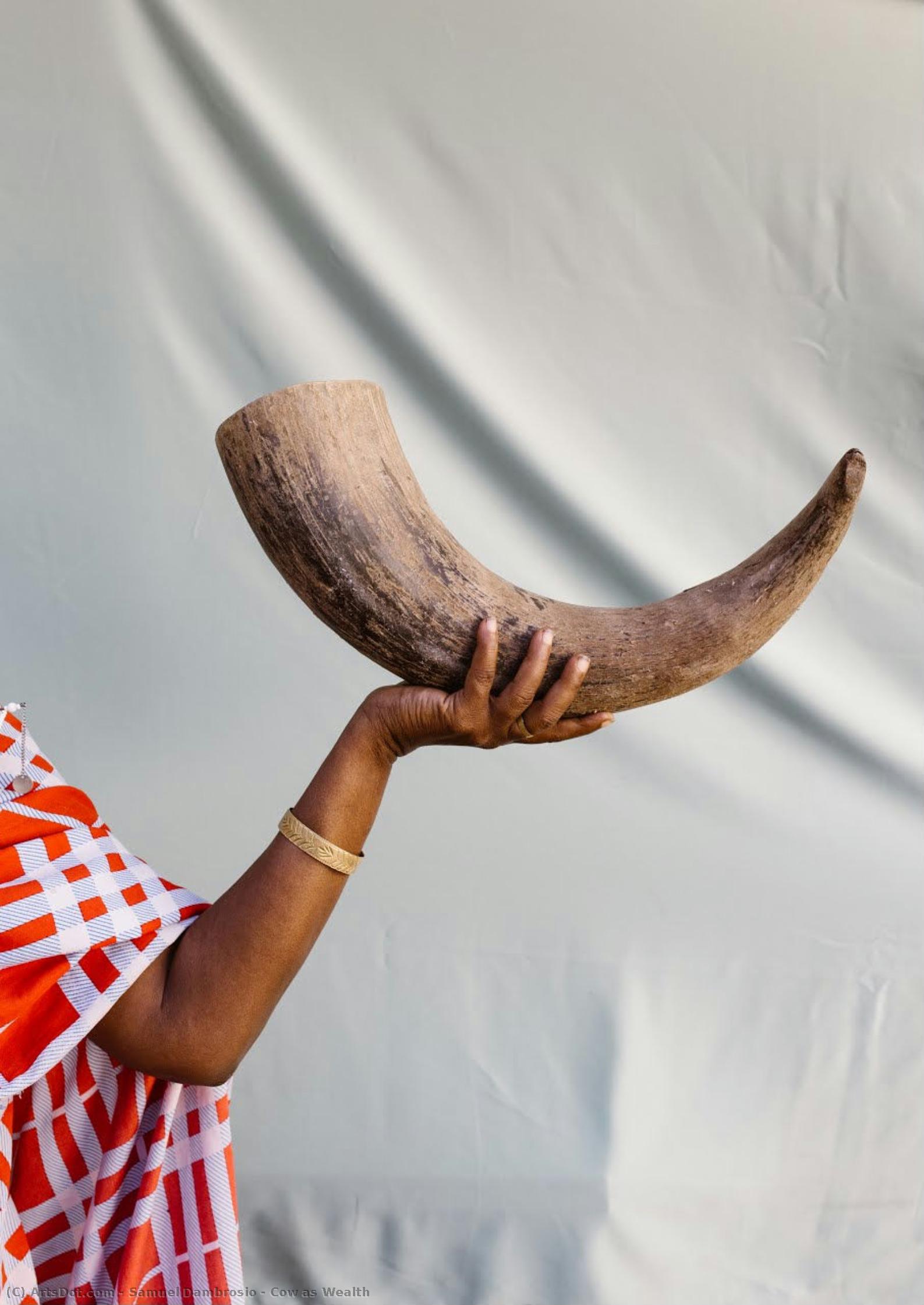 Cow As Wealth — Samuel Dambrosio