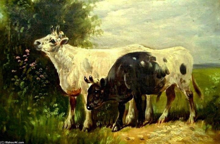 Two Cows In The Field — Henry Schouten