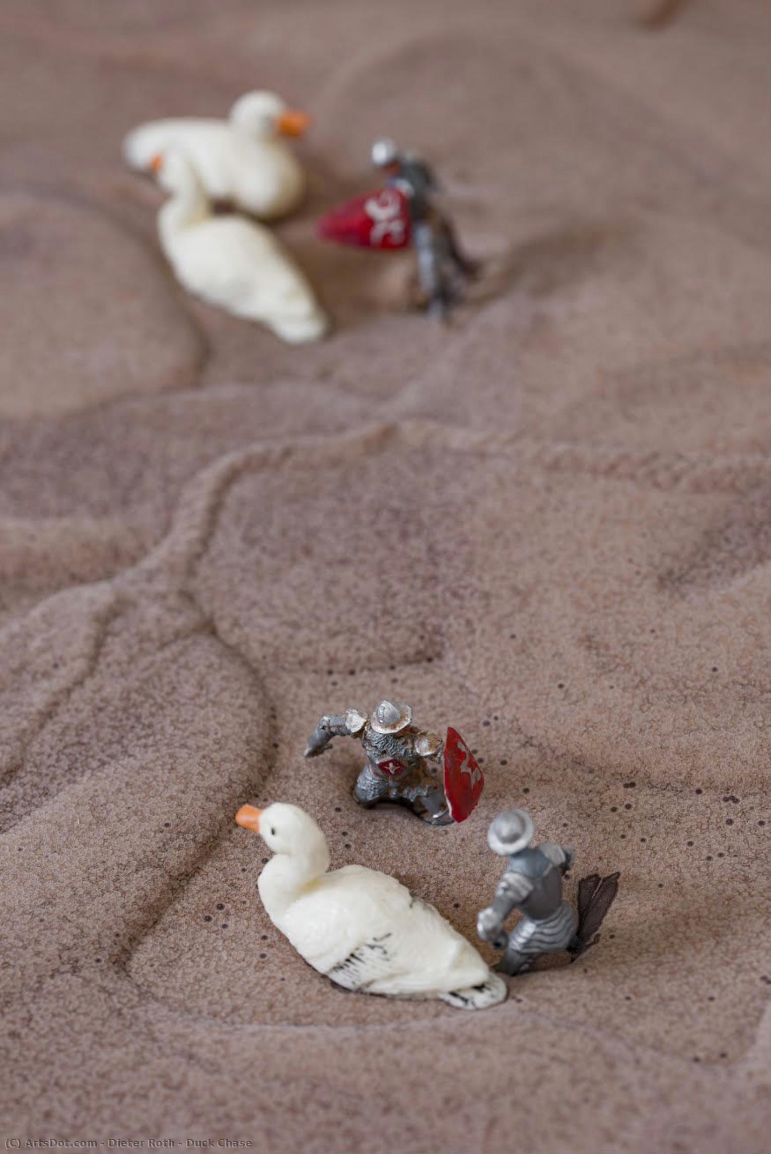 Duck Chase — Dieter Roth