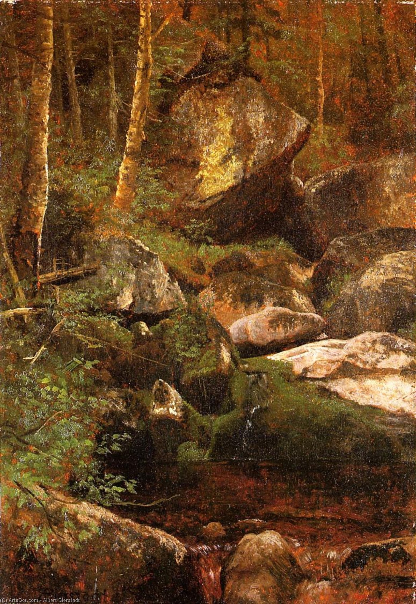 Forest Stream — Алберт Бирштадт