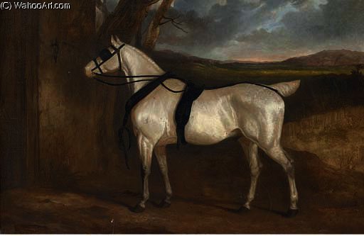 A Grey Carriage Horse — Charles Hancock