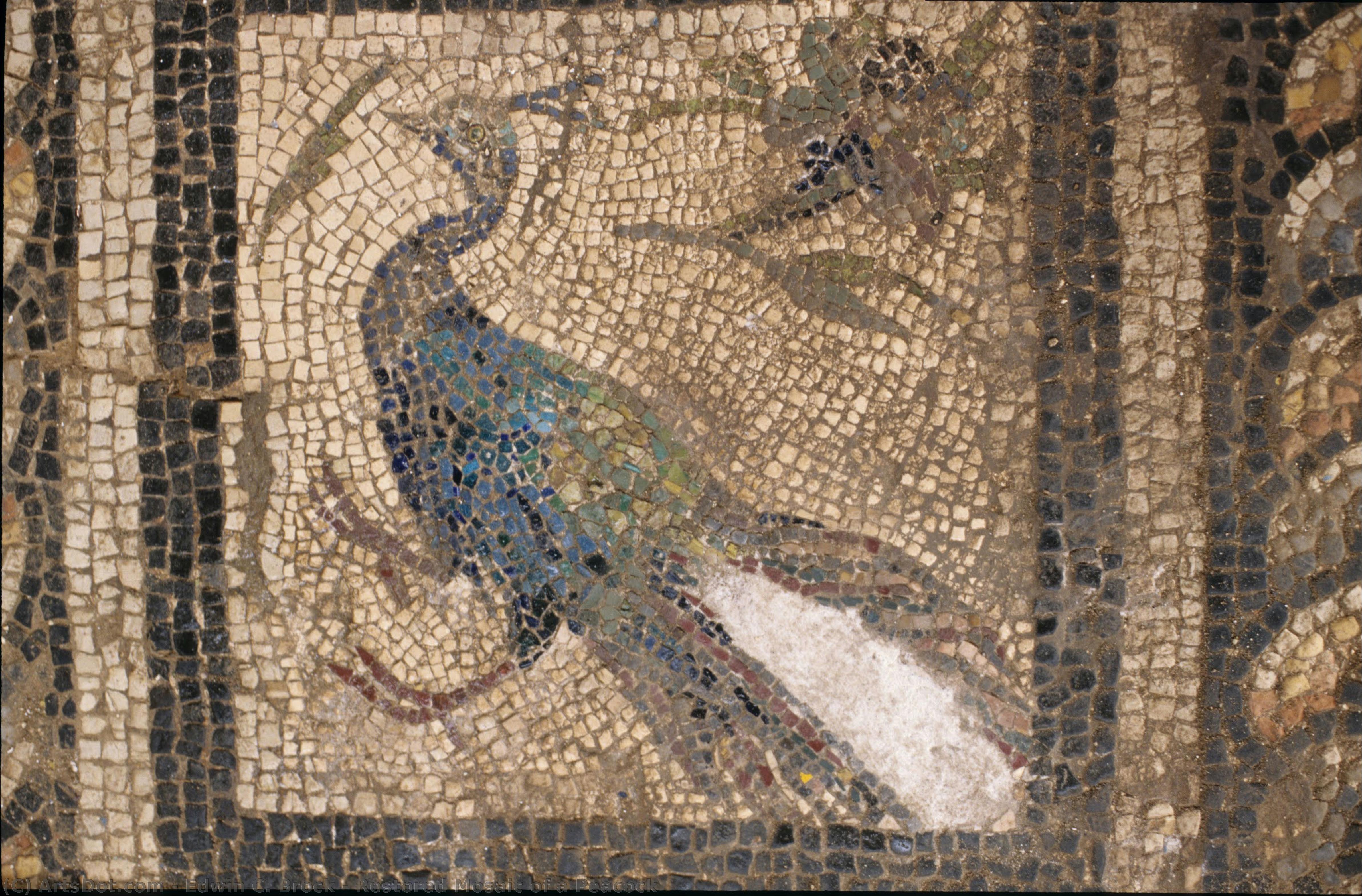Restored Mosaic Of A Peacock — Edwin C. Brock