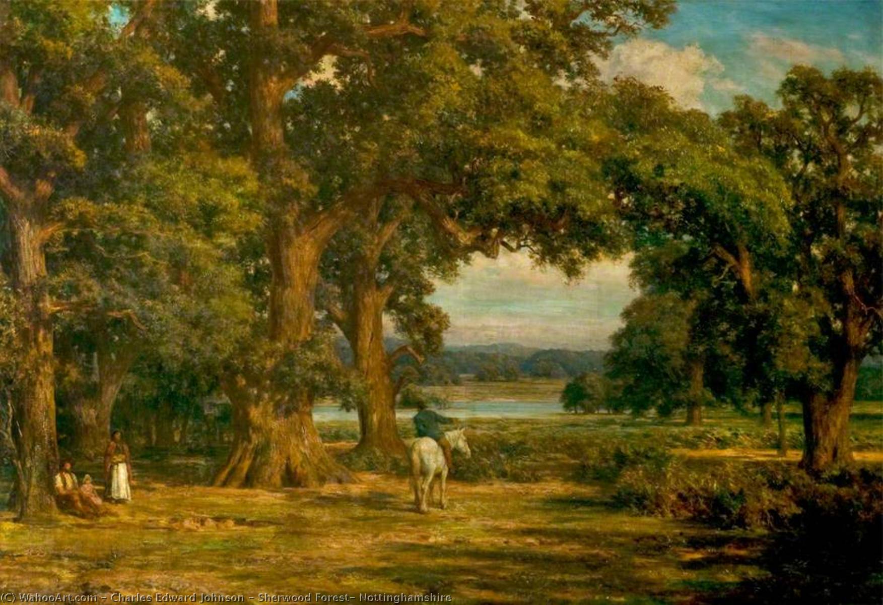 Sherwood Forest, Nottinghamshire — Charles Edward Johnson
