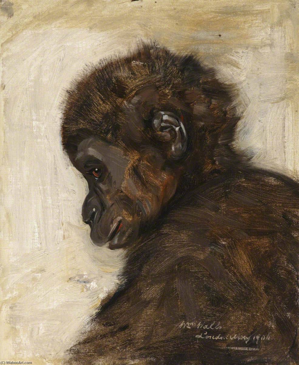Baby Gorilla — William Walls
