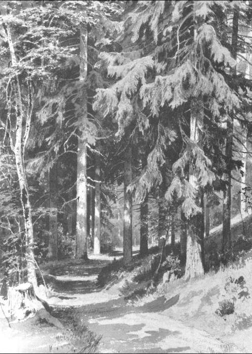 Path In A Forest — Ivan Ivanovich Shishkin
