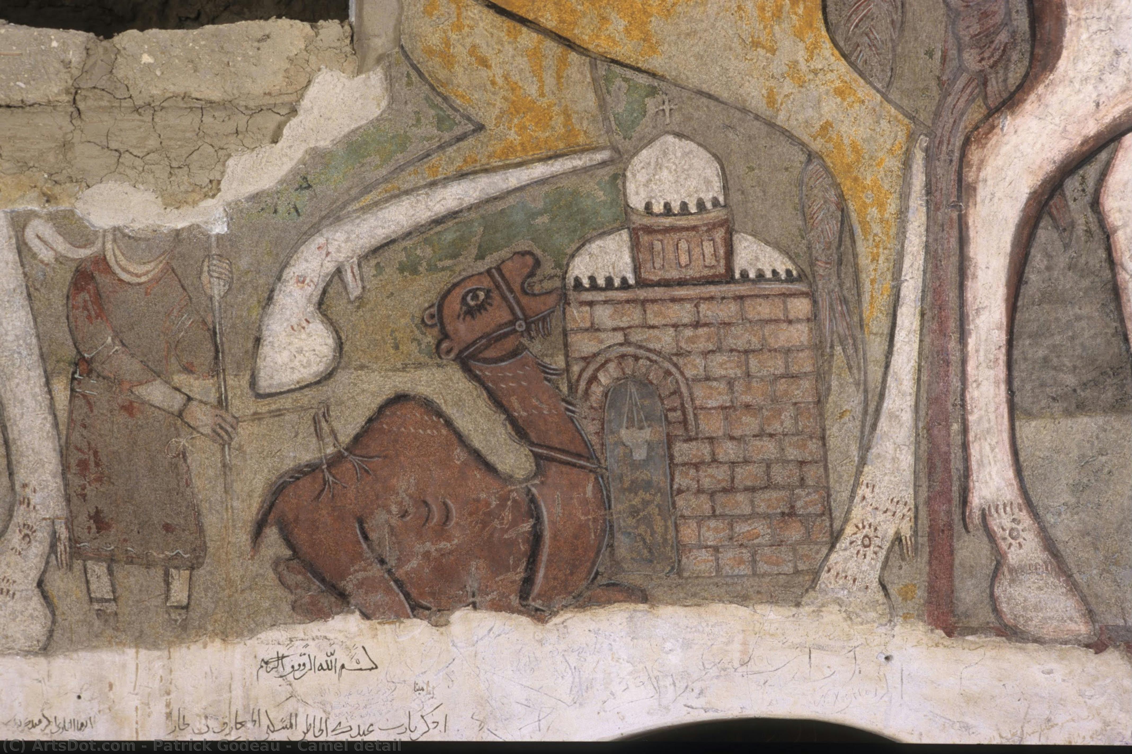 Camel Detail — Patrick Godeau