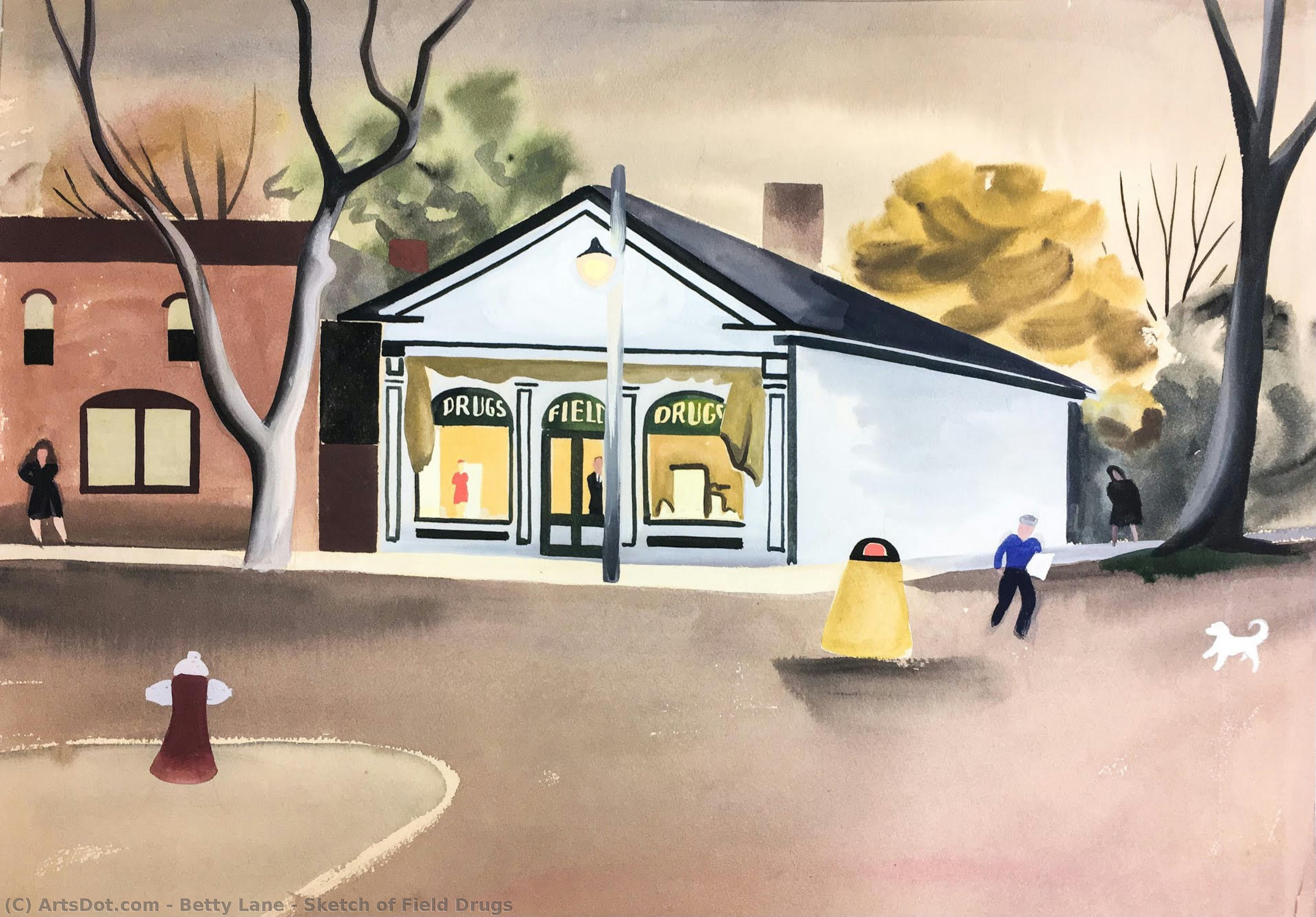 Sketch Of Field Drugs — Betty Lane