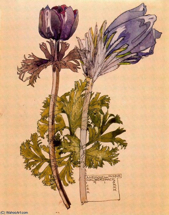 Untitled (114) — Charles Rennie Mackintosh