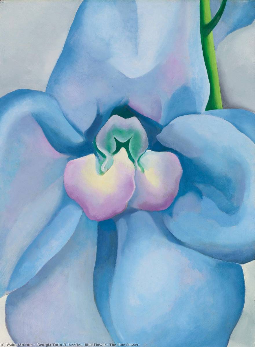 Blue Flower (the Blue Flower) — Georgia O'keeffe