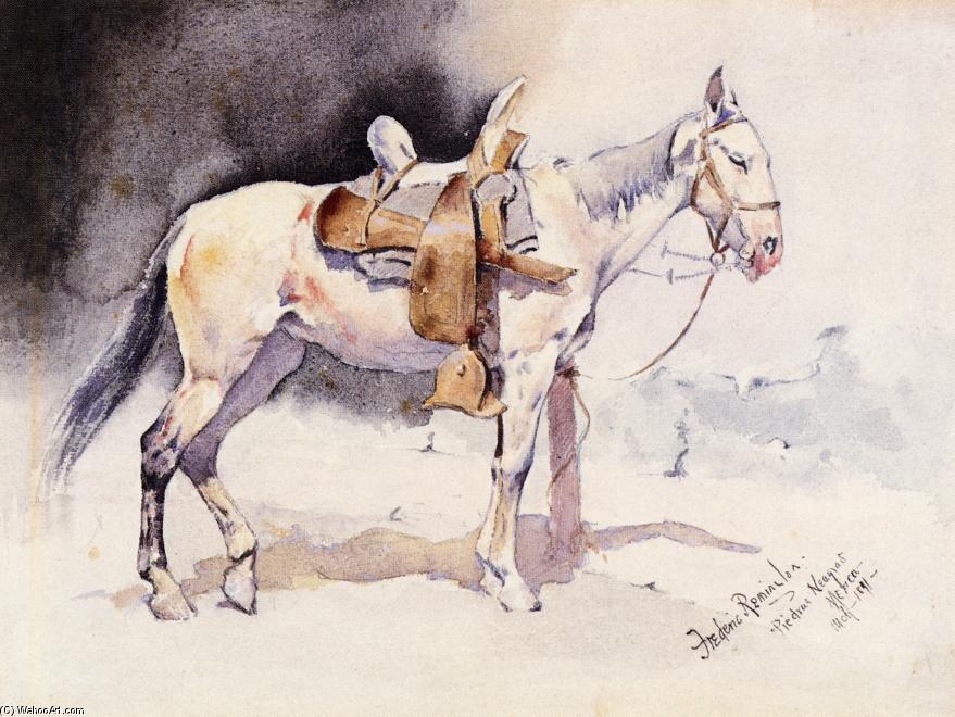 Mexican Pony - Piedras Neagras — Frederic Remington