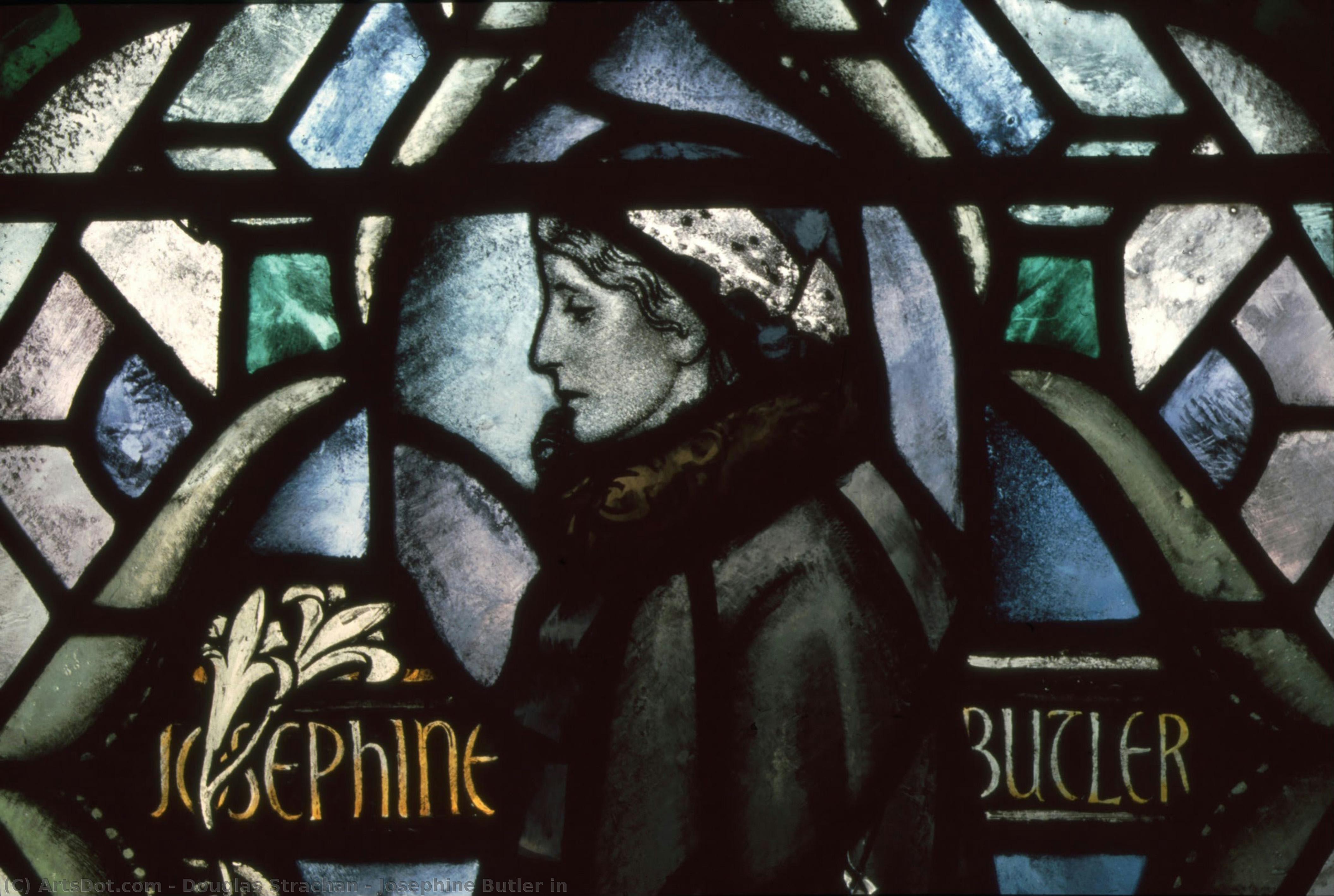 Josephine Butler In — Douglas Strachan