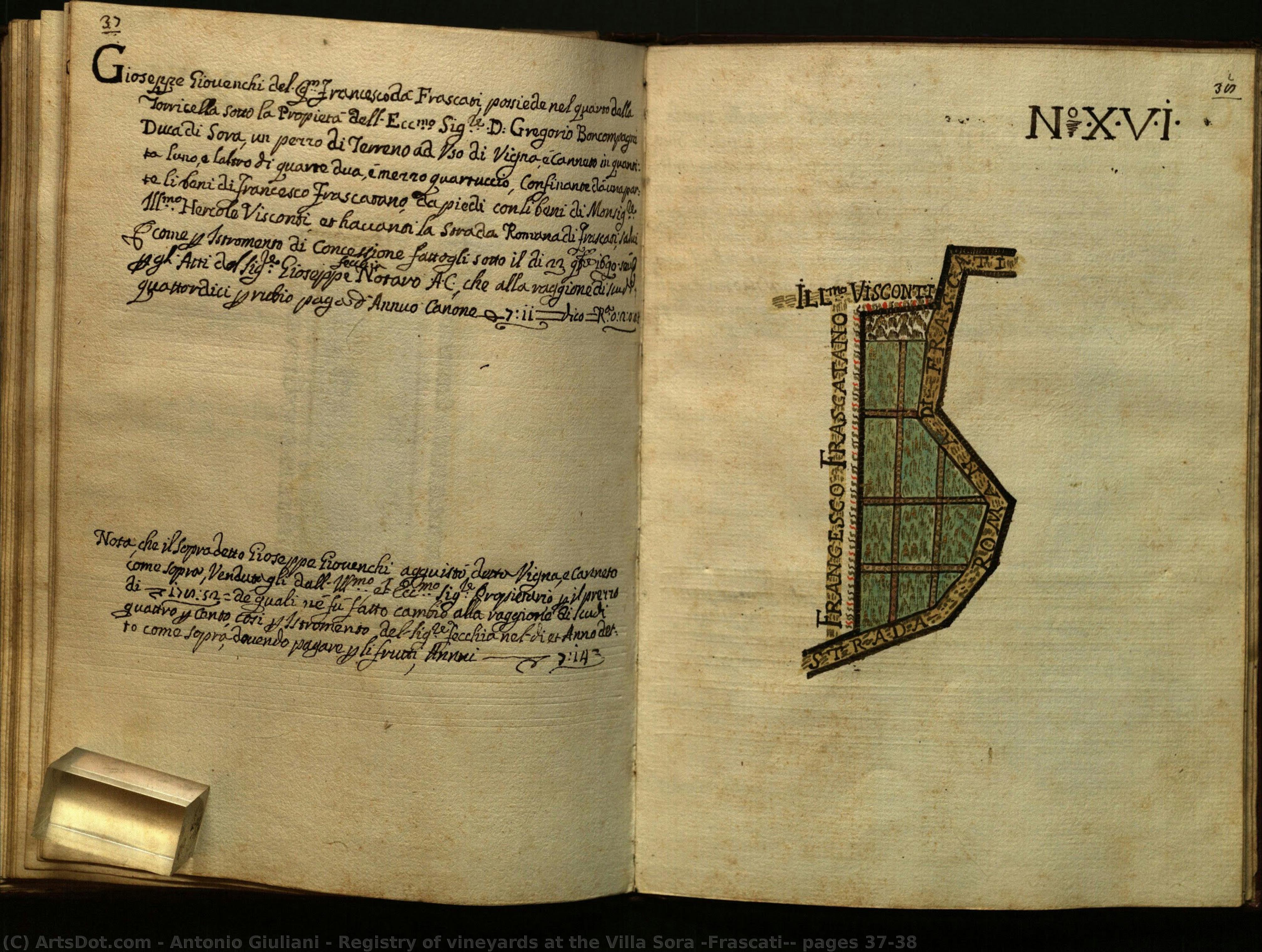 Registry Of Vineyards At The Villa Sora (frascati): Pages 37-38 — Antonio Giuliani