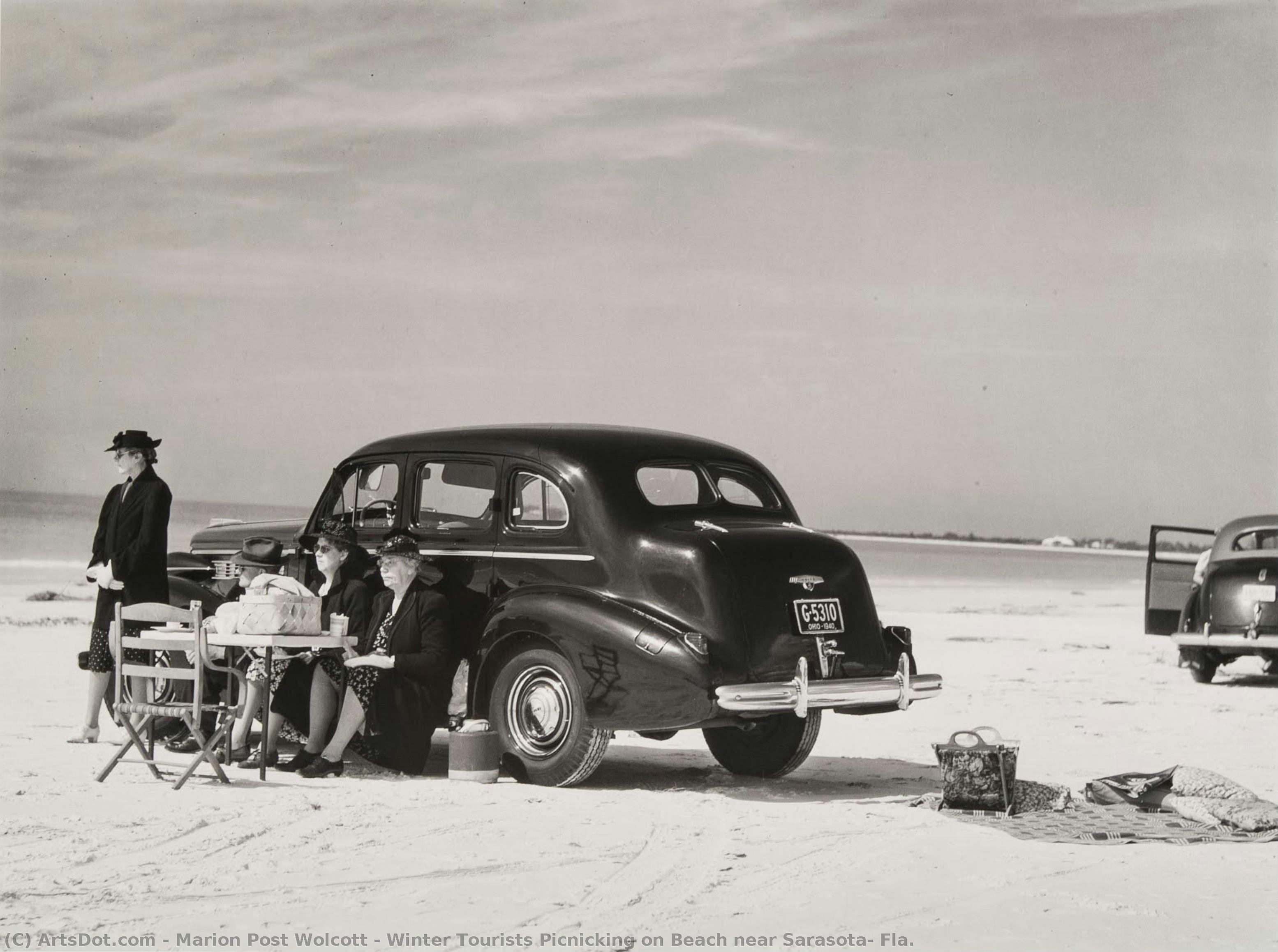 Winter Tourists Picnicking On Beach Near Sarasota, Fla. — Marion Post Wolcott