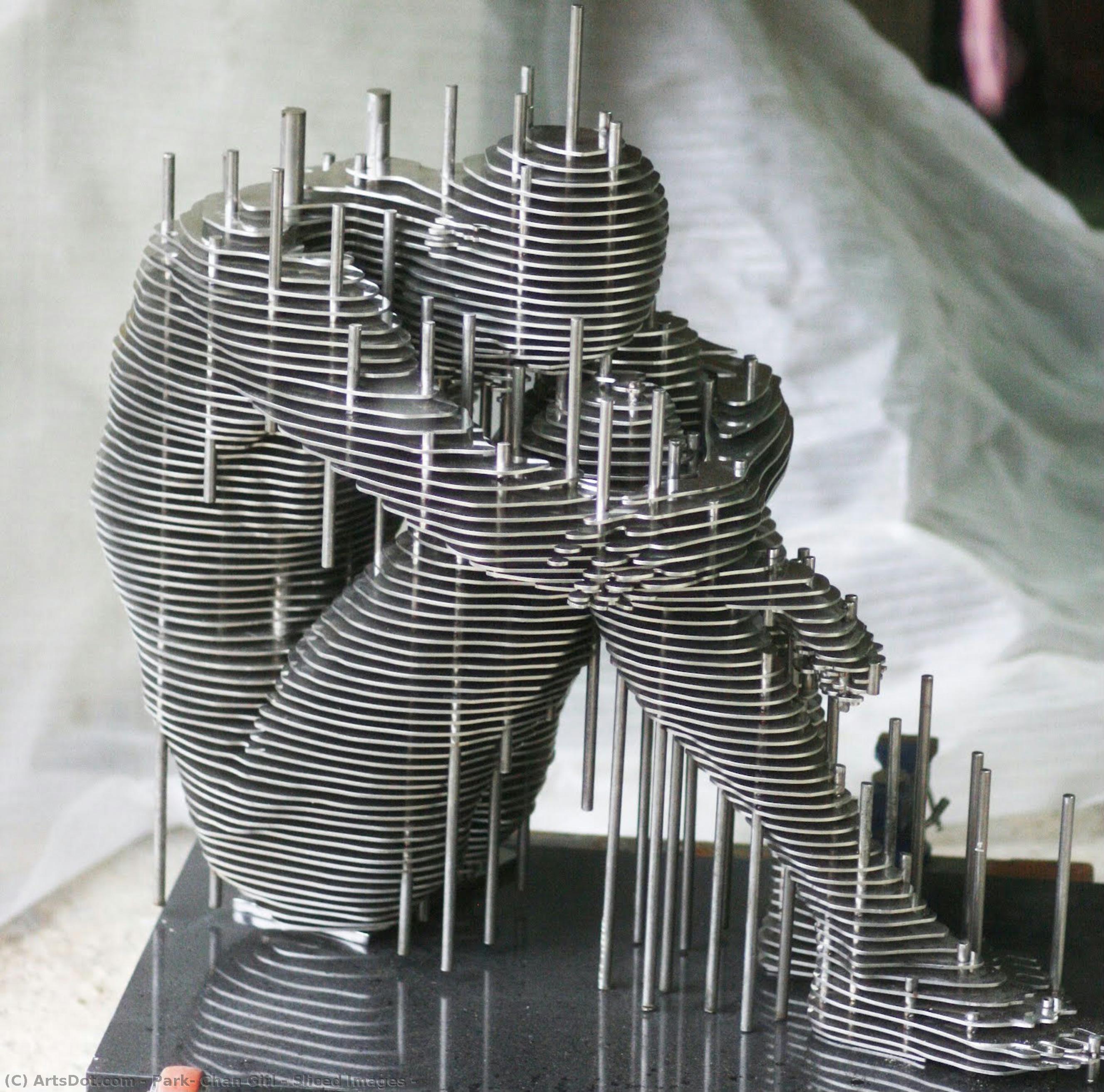 Sliced Images — Park Chan Girl