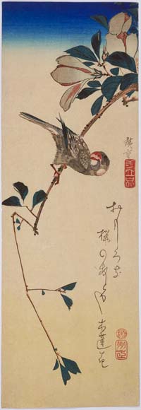 Magnolia Obovata — Ando Hiroshige