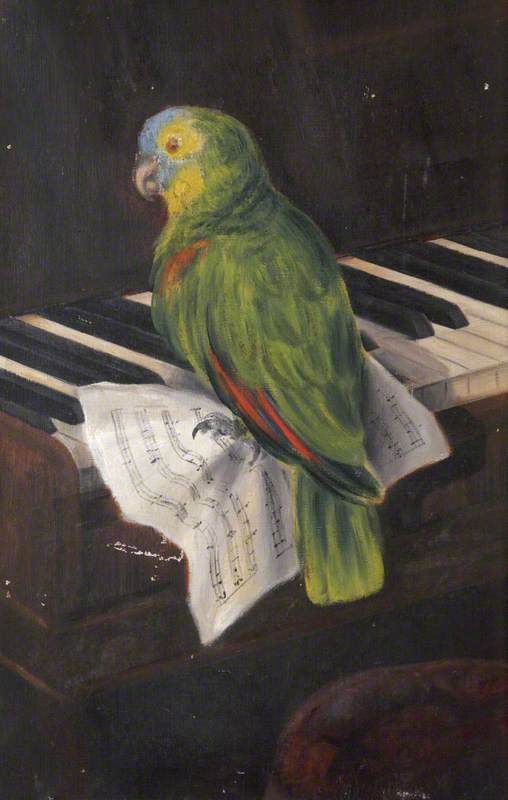 'polly' The Parrot, Sitting On A Music Score On The Keys Of A Piano — Rosalie Chichester